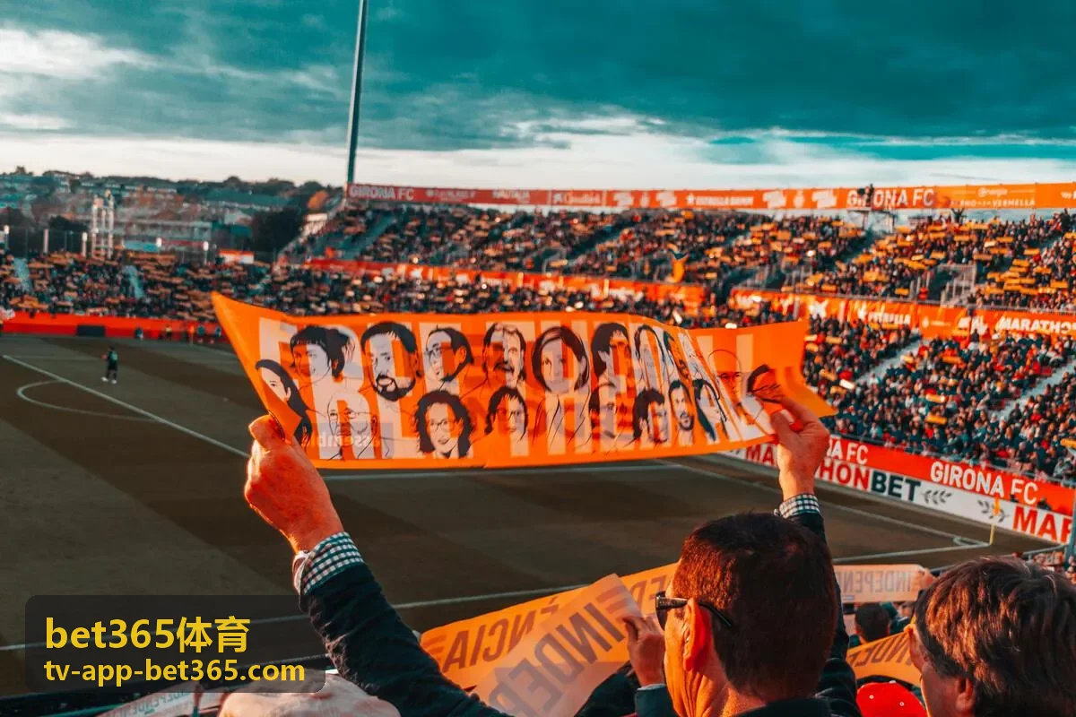 bet365体育数据模型图表